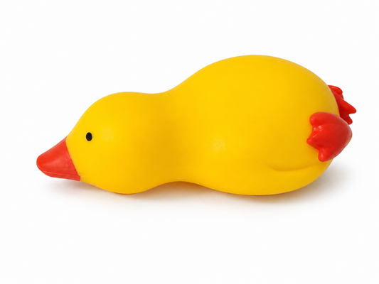 Jumbo Duck