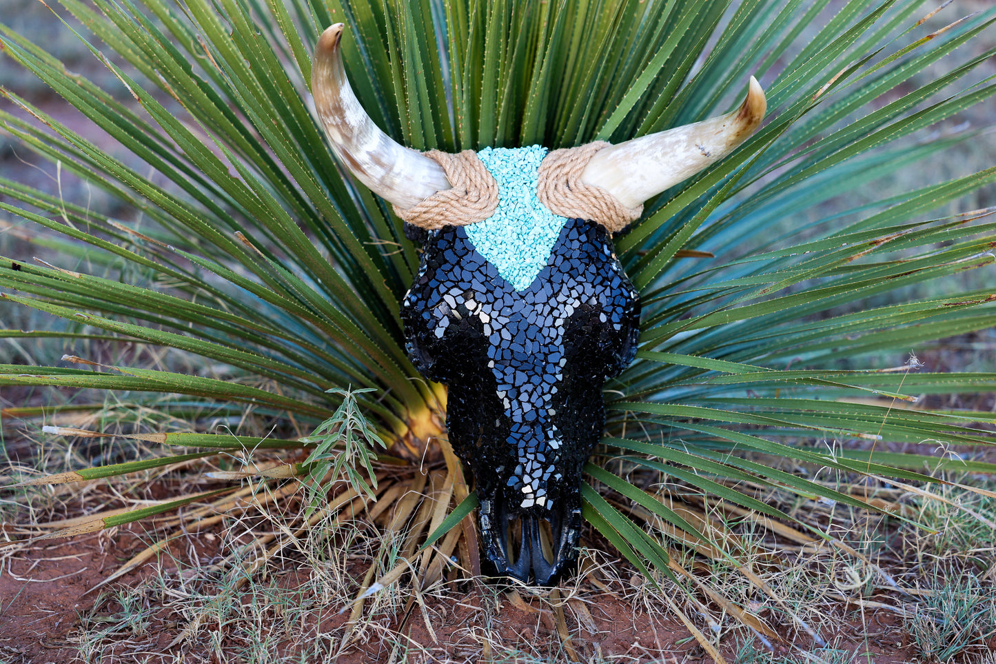 Turquoise/Black Skull