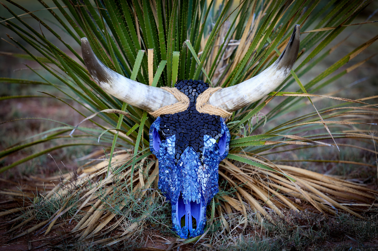 Black/Light Blue Skull